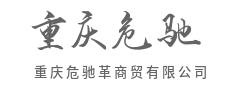深耕垂直领域，做专业的价值传递者-重庆危驰革商贸有限公司